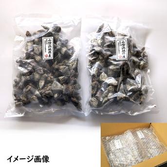 亀の手（カメノテ）冷凍　大きめサイズ　500ｇ×2袋　3Dフリーザー凍結により高鮮度 【冷凍】中大サイズ混合　500ｇ×2袋 魚介類/その他貝類通販
