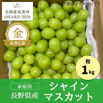 シャインマスカット　産地直送 家庭用/限定販売】1kg 粒シャインマスカット／本気農場いけだ ｜ 果物