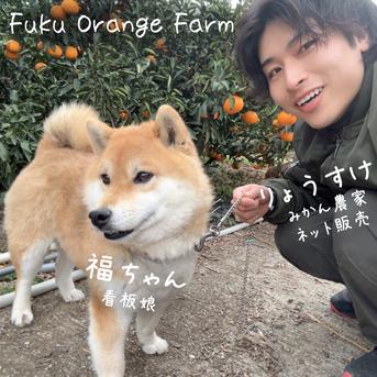 広がる香りに、ただ酔いしれる】完熟ハウスせとか《ご家庭用 5kg