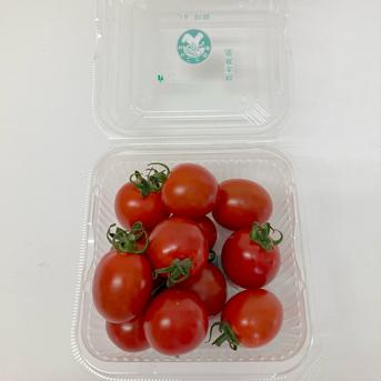 九州 熊本産 ミニトマト 約1kg ５パック（200g×5）2S～2L 不揃い (002) 野菜 フルーツ 熊本 食品 旬 トマト 約1kg ５パック（200g×5）2S～2L  野菜/トマト通販