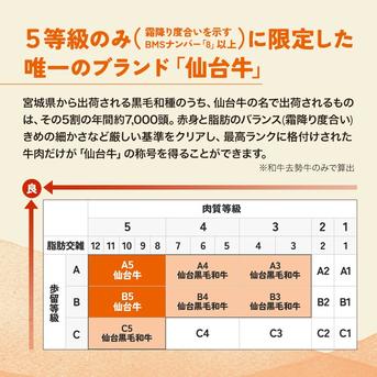 【旬祭限定】【特別価格】ステーキ食べ比べ3種　仙台牛サーロイン・トモサンカク・マルシン　計500g 仙台牛サーロインステーキ200ｇ×1枚、仙台牛トモサンカクステーキ150ｇ×1枚、仙台牛マルシンステーキ150ｇ×1枚 肉/牛肉通販