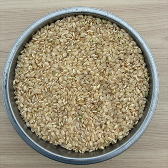 令和7年岡山県産 アケボノ玄米20キロ | 米・穀物/玄米 産直アウル 農家