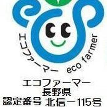 信州産シナノスイート約3.2kg7玉 約3.2kg7玉 果物/りんご通販