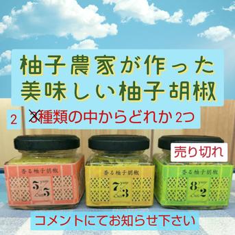 柚子農家が作った美味しい香る柚子胡椒　2本 それぞれ40g 調味料/その他調味料通販