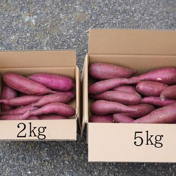 送料込み!! 追熟シルクスイート さつまいも 栽培期間中農薬不使用 宮崎県産約2㎏ SS〜Mサイズ 約2㎏ SS〜Mサイズ 野菜/さつまいも通販