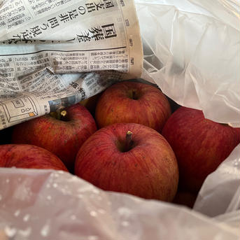 【初売り】特価！ご家庭用 小玉 10kg 10kg 40個以上 果物/りんご通販