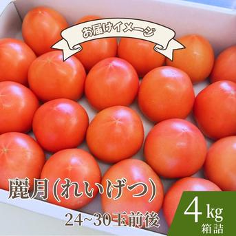 糖度7度以上】季節限定の贅沢トマト「麗月」4K箱 ｜ 野菜/トマト 産直