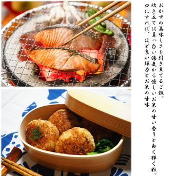 【令和5年産】茨城県産ミルキークイーンほたる10ｋｇ 10kg 米・穀物/米/精米通販