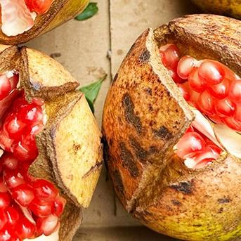 超希少】国産ザクロ（約250g、1~2個）農薬・化学肥料不使用 | 果物