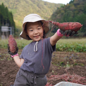 SS～Sサイズ】「特別栽培品」安納芋3kg（土付き） 1ヶ月超熟成