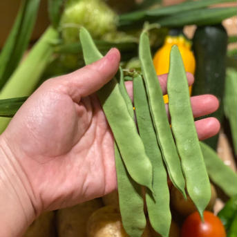 五味農園のお野菜箱 1.5kg程度 野菜/野菜セット・詰め合わせ通販
