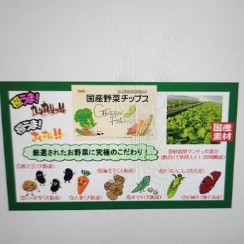 国産野菜チップス 1袋55g×３袋 加工品/その他加工品通販