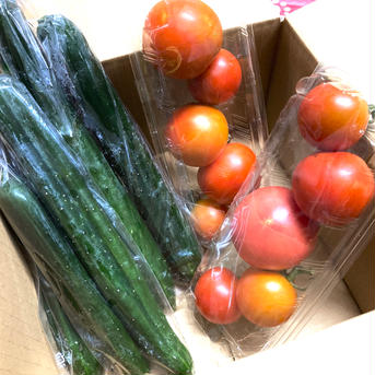 レパートリー無限大！デコレーションきゅうりとトマトセット！ 約１キロ 野菜/野菜セット・詰め合わせ通販