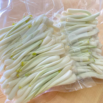 大好評！島らっきょう　1kg 1kg 野菜/その他野菜通販