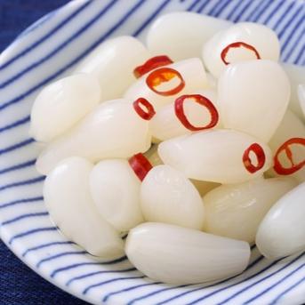 パリポリ食感がクセになる！泥付き生らっきょう～１Kg 500gパック×2個セット 野菜/その他野菜通販