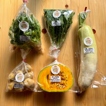 濃甘！野菜セット5種類 農薬・化学肥料不使用：個包装 | 野菜/野菜