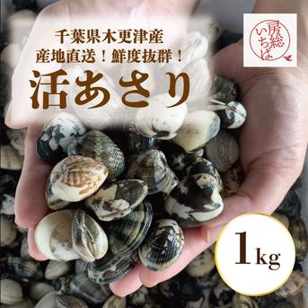 あさり 千葉県木更津産 冷凍あさり 10kg