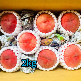 桃　あかつき　良品　約2kg(6個〜8個) 約2kg(6個〜8個) 果物/もも通販