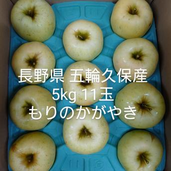 長野県 五輪久保産もりのかがやき 5kg11玉 5kg 果物/りんご通販