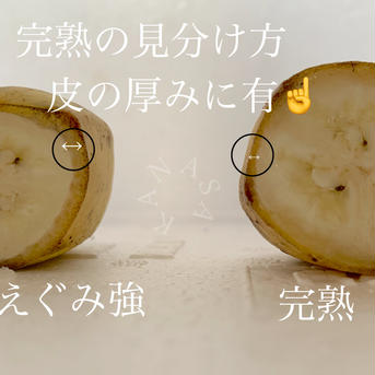 無農薬ナムワ系バナナ（1kg） 1kg 果物/バナナ通販