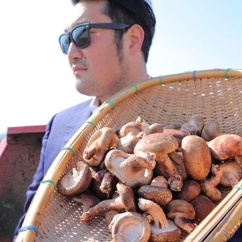 箱いっぱいサービス中】ちょいワル椎茸 1kg 常温発送 | 野菜/きのこ