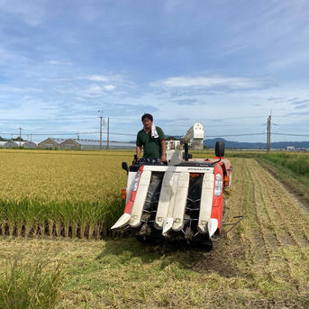 令和7年産お米 夢つくし玄米10kg特別栽培農法 | 米・穀物/玄米 産直