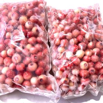 加工用】冷凍ブルーベリー（フロリダローズ）1kg × 2袋【ピンク色で