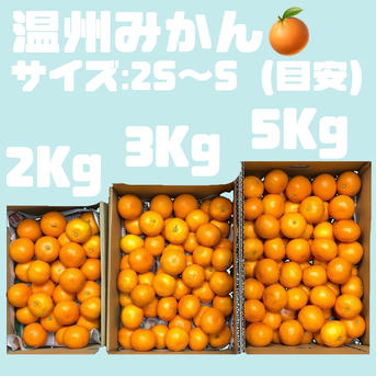 10kg】温州みかん 糖度掲載中 アウル大賞 ｜ 果物/温州みかん 産直
