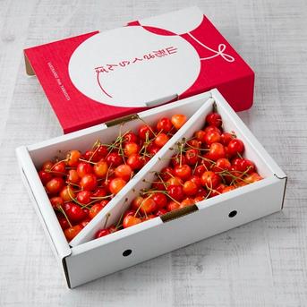 さくらんぼ　紅秀峰(べにしゅうほう)　1kg　色・大きさ無選別 1kg 果物/さくらんぼ通販