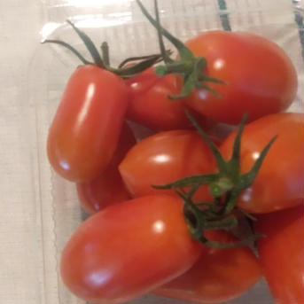 【チョイセット】北海道の高級野菜　トマトや色々な5種類以上 約2ｋｇ 野菜/野菜セット・詰め合わせ通販
