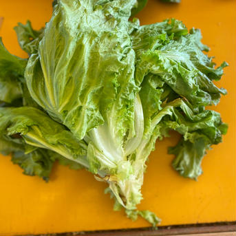 鈴木清友農園旬無農薬野菜詰め合わせ80 5.0kg 野菜/野菜セット・詰め合わせ通販