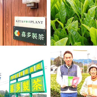 伊勢ほうじ煎茶ティーパック　5g×40 40個入り お茶/ほうじ茶通販