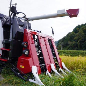 新米 令和3年度 兵庫県産コシヒカリ 10kg 精米 10kg 米・穀物/米/精米通販