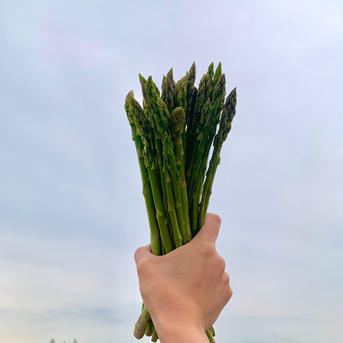 🌏ありのまま🌏　1㎏ 1㎏ 野菜/アスパラガス通販