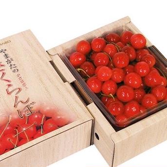さくらんぼ 高砂500g 日本に入り150年愛される高砂 山形県天童産