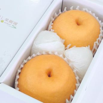 【化粧箱入り】果汁たっぷり！自然貯蔵の新興梨 大玉2個 約1.4kg 大玉2個(約1.4kg) 果物/梨通販