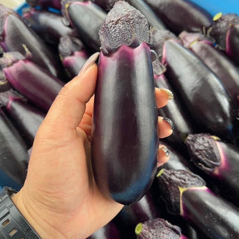 高知県産ナス16Kg約190本 | 野菜/茄子 産直アウル 農家から直接野菜