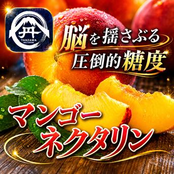 マンゴー 果実の実日光 旬祭限定 マンゴーの濃厚な糖度 桃の爽やかな