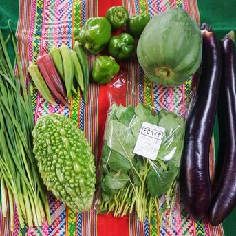 野菜セット 7品目 パチャママ農園 ｜ 野菜/野菜セット・詰め合わせ