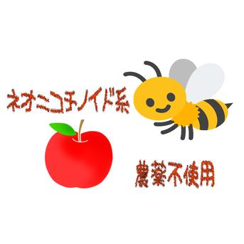 貯蔵サンふじ10kg 46〜40玉（小玉ｻｲｽﾞ） 約10ｋｇ　46~40玉 果物/りんご通販