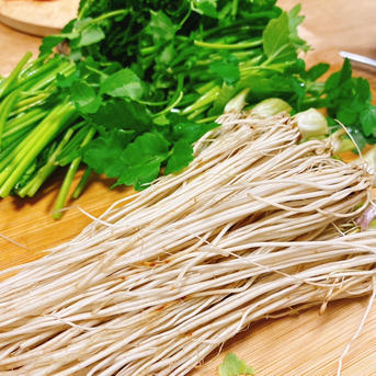 三関せり　秋田県産　1キロ 根っこが主役！湯沢市産『三関せり』家庭用1kg ｜ 野菜/その他野菜