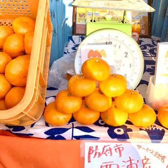 【みかん】 阿波かつうら熟成みかん5kg | Lacycle mall（ラシクルモール）