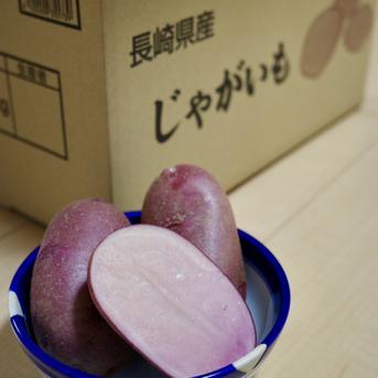 じゃがいも「ドラゴンレッド」 ｜ 野菜/じゃがいも 産直アウル 農家