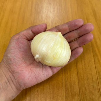 ジャンボニンニク（無臭ニンニク）約８キロ・乾燥なし・バラさずそのまま 横浜産 ジャンボニンニク 500g（無臭ニンニク） ｜ 野菜/にんにく 産直