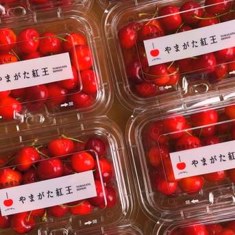 数量限定 朝採り当日発送 山形が誇る大玉品種【やまがた紅王】 ｜ 果物