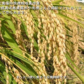 令和3年石川県産新米ゆめみづほ玄米　無農薬有機栽培です。 ゆめみづほ9kg精白米 | 【公式オンラインショップ】お米と