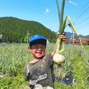10kg【固定種の玉ねぎ】農薬不使用！自然の甘味！ 玉ねぎ10kg 野菜/玉ねぎ通販