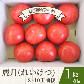 糖度7度以上】季節限定の贅沢トマト「麗月」1K箱 ｜ 野菜/トマト 産直