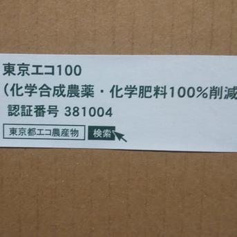 【農薬不使用】冷蔵熟成パッションフルーツ３０玉 ３０玉 果物/パッションフルーツ通販