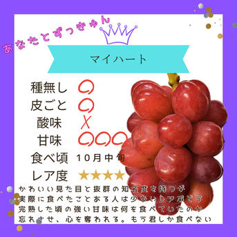 【アウルの日】芳醇マイハート♡2房♡山形県産ぶどう 1.0キロ 果物/ぶどう通販
